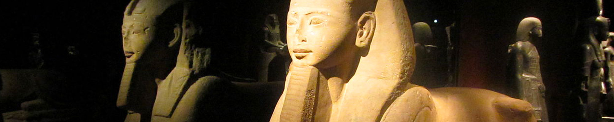 MUSEUM AND MORE